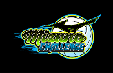 Mizuno Challenge